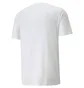 Футболка чоловіча Puma Cat Graphic White 670494-02