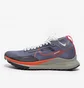 Кросівки чоловічі Nike Pegasus Trail 4 Gore-Tex Violet DJ7926-006