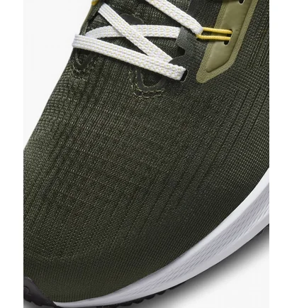 Кросівки чоловічі Nike Pegasus 39 Black Fd0785-300