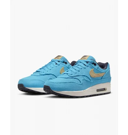 Кроссовки мужские Nike Air Max 1 Premium Light Blue FB8915-400