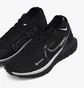 Кросівки жіночі Nike W React Pegasus Trail 4 Gtx Black Dj7929-001