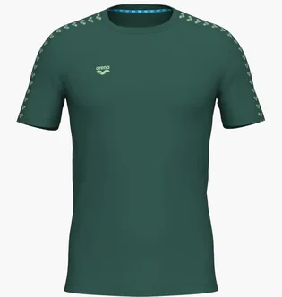 Футболка мужская Arena Team Green 002701-661