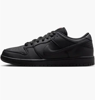 Кроссовки мужские Nike Dunk Low Pro Sb Black FJ1674-001