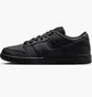 Кросівки чоловічі Nike Dunk Low Pro Sb Black FJ1674-001
