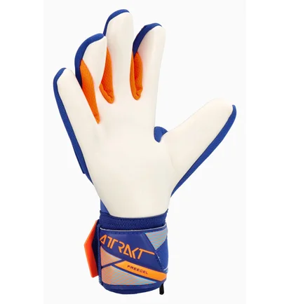 Рукавиці воротарські дитячі REUSCH Attrakt Freegel Advance Blue 56-72-235-4129