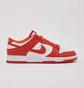 Кросівки чоловічі Nike Dunk Low Orange/White DV0833-114