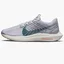 Кросівки чоловічі Nike Pegasus Turbo Next Nature Grey Dm3413-004