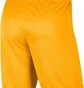 Шорты мужские Nike Dry Park Iii Short Nb K Yellow Bv6855-739