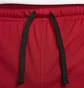 Шорты мужские Air Jordan Dri-Fit Red DH9077-687