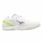 Кросівки жіночі Mizuno Wave Stealth Neo Beige X1GB200035