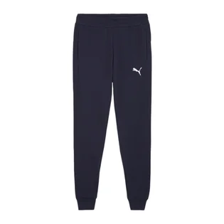 Штаны мужские Puma Teamgoal Casuals Blue 658598-06