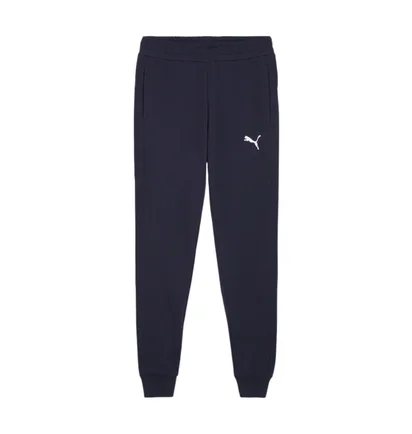 Штаны мужские Puma Teamgoal Casuals Blue 658598-06