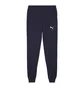 Штаны мужские Puma Teamgoal Casuals Blue 658598-06