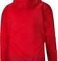 Куртка мужская Puma Teamgoal 23 Training Rain Jacket Red 65655901