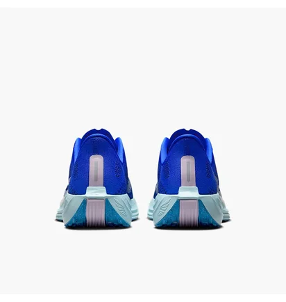 Кросівки чоловічі Nike Pegasus Plus Prm Blue HQ1719-400