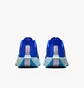 Кросівки чоловічі Nike Pegasus Plus Prm Blue HQ1719-400