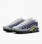 Кросівки чоловічі Nike Air Max Plus Grey/Violet FZ4622-001