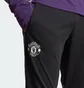 Штаны мужские Adidas Manchester United Tiro 25 Competition Black JP3118