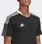 Футболка мужская Adidas Tiro 21 Training Jersey Black Gm7586