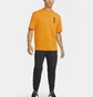 Футболка мужская Nike Mens Short-Sleeve T-Shirt Orange Dj5877-784