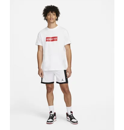 Шорты мужские Air Jordan Dri-Fit White/Black DH9077-100
