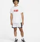 Шорты мужские Air Jordan Dri-Fit White/Black DH9077-100
