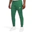 Штаны мужские Nike Sportswear Club Fleece Green Bv2671-341