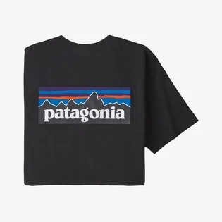 Футболка мужская Patagonia P-6 Logo Responsibili-Tee Black BLK38504