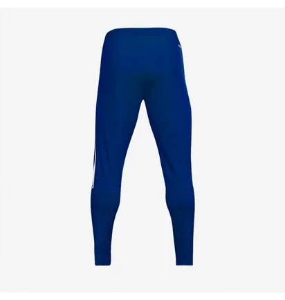 Штаны мужские Adidas Tiro 21 Training Pant Blue GJ9870