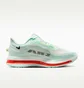 Кросівки чоловічі Nike Pegasus Premium MenS Road Running Shoes Green HQ2592-301