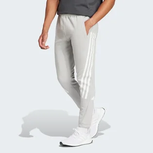Штаны мужские Adidas Future Icons 3-Stripes Joggers Grey IR9203