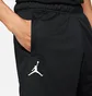 Шорты мужские Air Jordan Sprt Dna Hbr Msh Short Black CZ4855-010