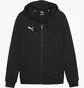 Толстовка мужская Puma Teamgoal Casuals F03 Black 658595-03
