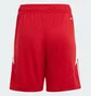 Шорты детские Adidas Tiro 24 Red IR9367