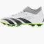 Бутси унісекс Adidas Predator Accuracy .4 S Fg White GZ0016