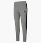 Штаны мужские Puma Evostripe Grey 585814-03