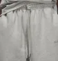 Штани чоловічі Air Jordan Wordmark Fleece Pant Grey FJ0696-050