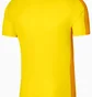 Поло мужское Nike Academy Poloshirt Yellow DR1346-719