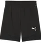 Шорты мужские Puma Teamfinal Training Shorts Black 658566-03
