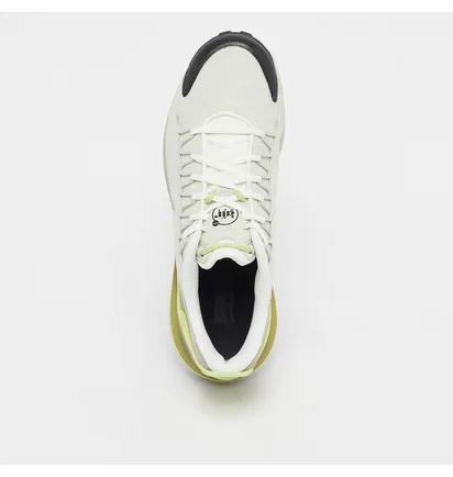 Кросівки чоловічі Nike Air Max Pulse Roam Beige DZ3544-200