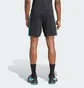 Шорты мужские Adidas Mercedes - Amg Petronas Formula One Team Dna Black JV5429