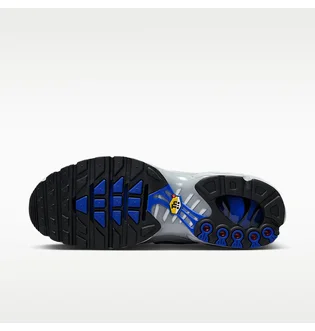 Кроссовки мужские Nike Air Max Plus Grey IH4459-025
