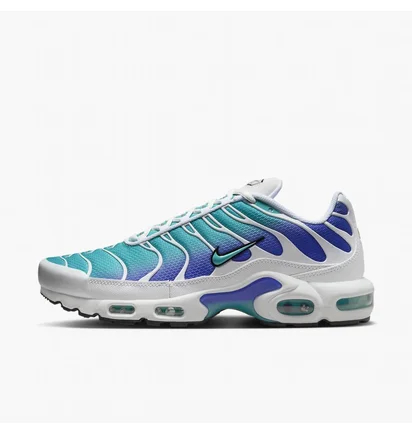 Кроссовки мужские Nike Air Max Plus Turquoise/White DM0032-102