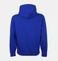 Худи мужское Ralph Lauren Fleece Logo Hoodie Blue 710890190003