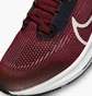 Кросівки дитячі Nike Air Zoom Pegasus 40 Gs Bordo DX2498-009
