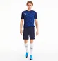 Шорти чоловічі Puma Teamfinal 21 Knit Shorts Black 70425706