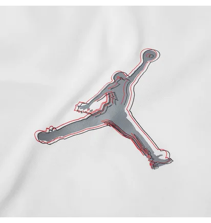 Футболка мужская Air Jordan Dfct Air Perf Gfx Crew White CZ8087-100