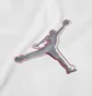Футболка мужская Air Jordan Dfct Air Perf Gfx Crew White CZ8087-100
