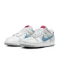 Кроссовки унисекс Nike Dunk Low 2024 Grey HF0391-001