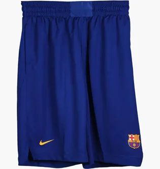 Шорты мужские Nike Fcb Replica Blue CV8405-455